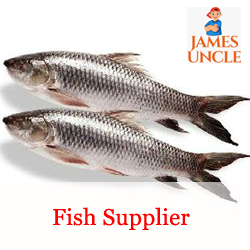 Fish supplier Mr. Sourav Patra in Nepalganj